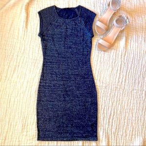 Express Bodycon dress